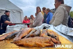 В Кургане 23 августа пройдет гастрономический фестиваль «День сырка»