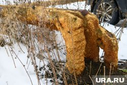 Власти ограничили условия для выдачи субсидии на тепло и горячую воду