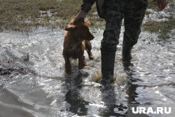 Половодье-2025: в Шадринске уровень воды в реке Исеть поднялся за сутки на 13 сантиметров