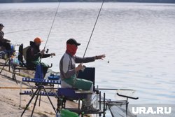 Самой крупной морской рыбой из всех когда-либо пойманных на удочку считается белая акула