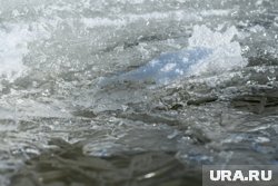 В Химках две девочки провалились под лед в парке