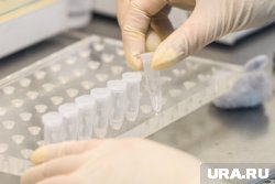 Из-за задержек с поставками реагентов увеличились сроки обработки анализов