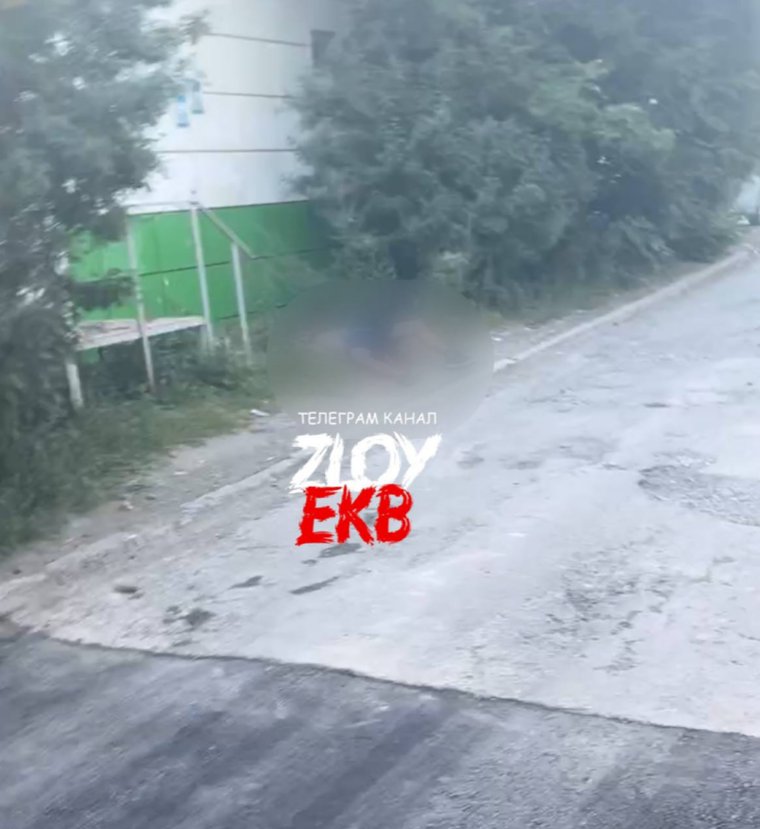 Кадрами с телом поделились очевидцы
