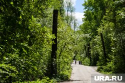 Врачи забрали школьников с территории Шарташского парка в Екатеринбурге