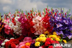 В году обычно семь родительских суббот, одна из важных - Троицкая