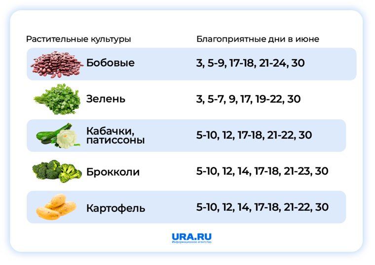 В июне есть много благоприятных дней для посадки бобовых, зелени, кабачков и картофеля