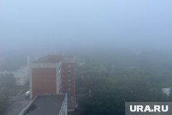 Видимость из окон домов не более 150 метров