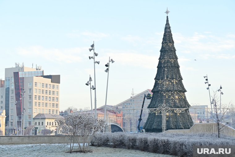 Ель в Перми начали украшать