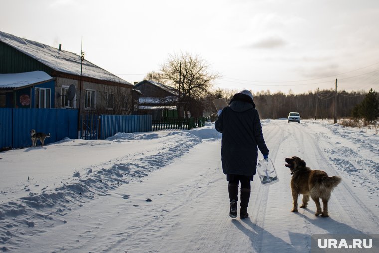 Жительницу Салехарда напугала домашняя собака