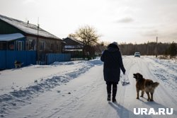 Жительницу Салехарда напугала домашняя собака