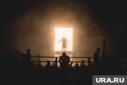 С 4 по 5 октября в Тюмени пройдет турнир по смешанным единоборствам
