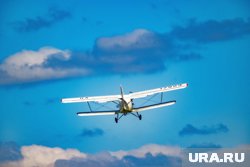 Самолет Ан-2 (архивное фото) разбился в Ростовской области, пилот погиб
