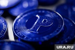 В России введут обязательства для цифровых платформ по торговле