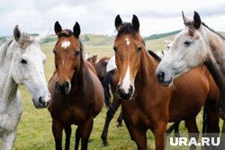 Завод получил убыток 3,8 млн рублей