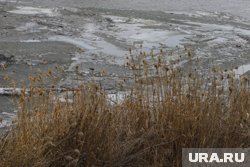 В поселке Искра жители заметили свалку на берегу озера Горькое, а в воде - сажу от котельной