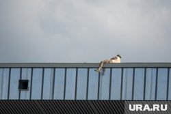 В результате полученных травм мужчина скончался