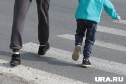 Перед нападением дети переходили дорогу по пешеходному переходу
