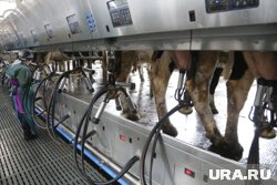 Россия покрывает спрос на органику при помощи современных технологий