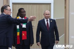 В Зимбабве пригласили Путина с официальным визитом