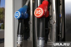 Средняя стоимость бензина составила 59,2 рубля