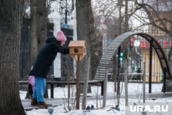 В Тамбовской области выплаты беременным студенткам будут финансированы из федерального и областного бюджетов