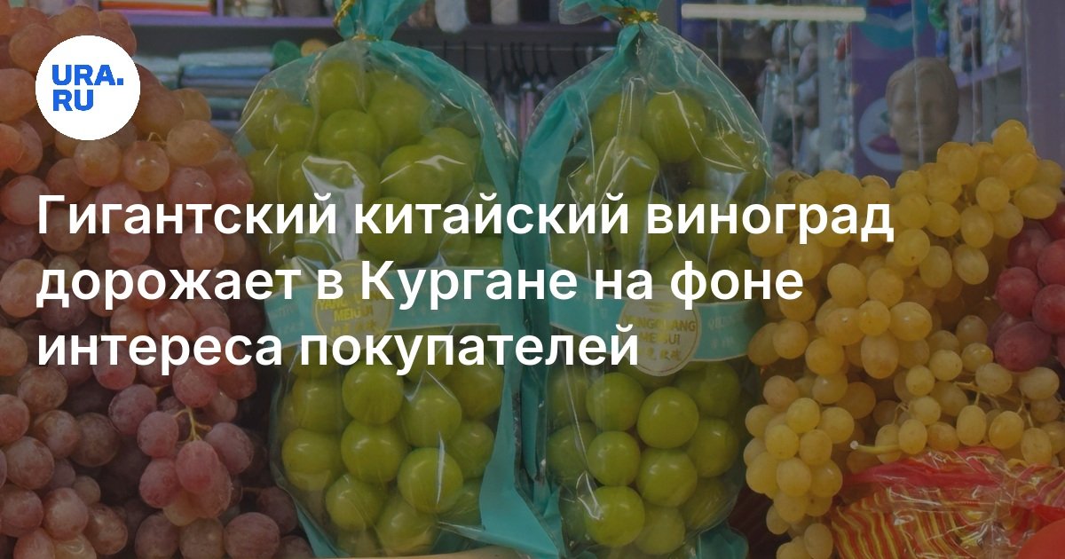Гигантский китайский виноград дорожает в Кургане на фоне интереса ...