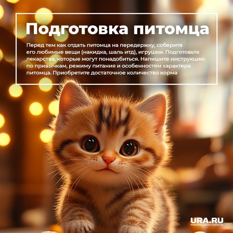 Подготовка животного к передержке