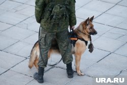 В Москве эвакуирован торговый центр из-за предмета с проводами