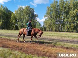 Фестиваль прошел на территории проекта «Кипрея на холмах»