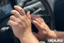 Автовладельцы могут заработать штрафы на природе