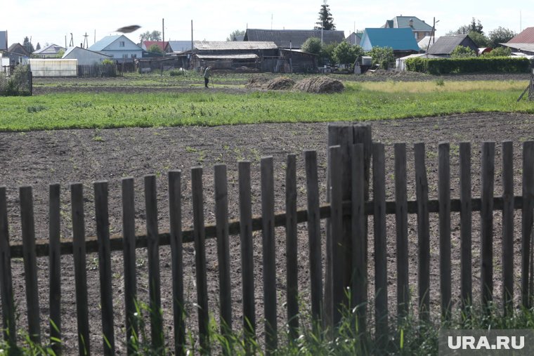 В Росреестре призывают решать проблему с делением участка мирным путем