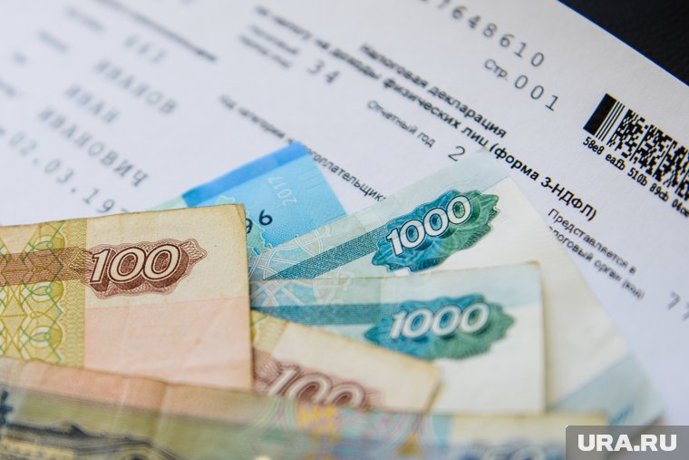 Максимальный заявленный доход за 2024 год не превысил 600 тысяч рублей