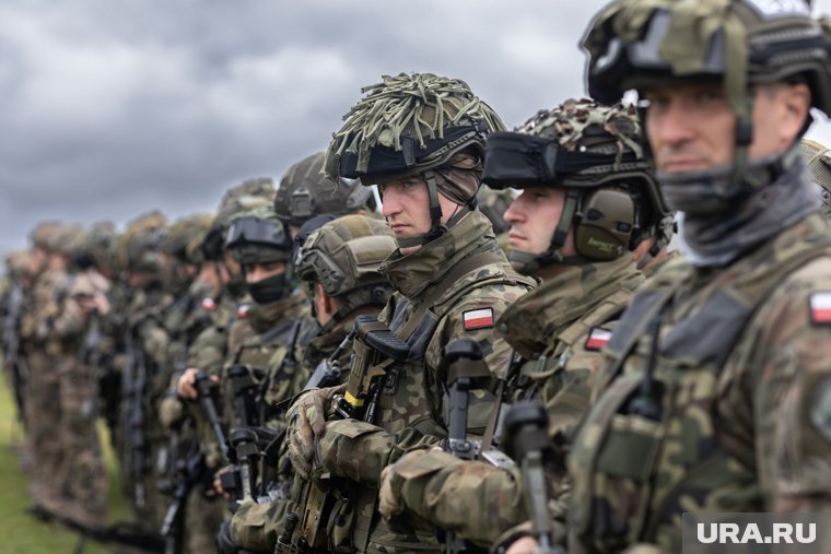 Военные Польши проводят тактические учения «Отважный кабан» у границ Калининградской области