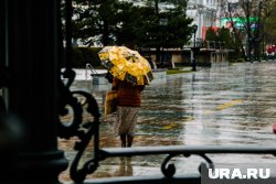Несмотря на дождливый день, температура воздуха в Тюмени будет достигать до 25 градусов
