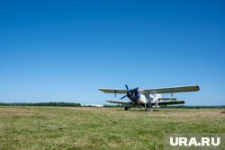 У бортпроводницы Анастасии Бессмертной осталось двое детей, сообщает Mash
