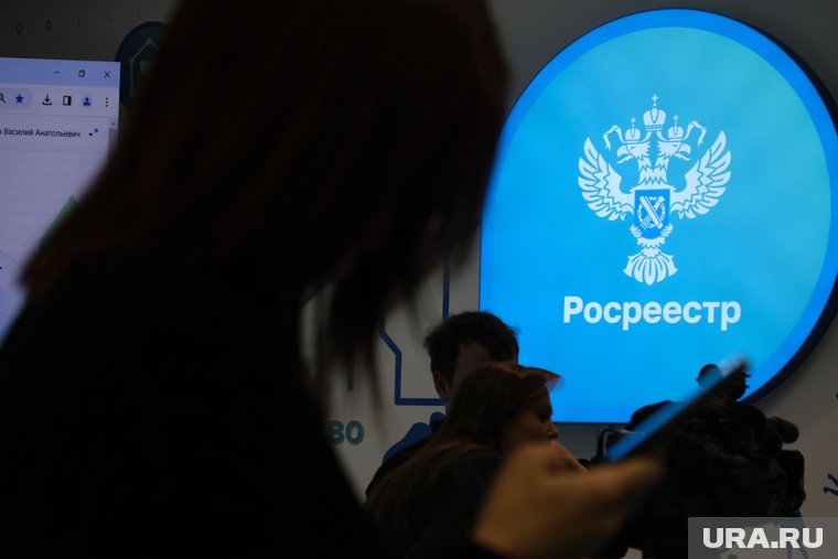 Причиной проверки прокуратуры стал экс-сотрудник Росреестра