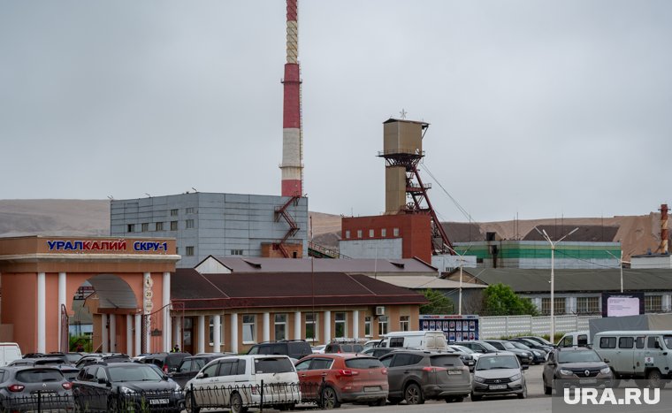 Общество является одним из крупнейших производителей калийных удобрений