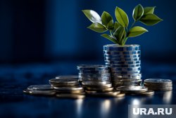 Реальная стоимостью рубля 70-80 за доллар, заявила экономист Сорокина