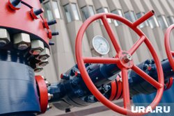 Самые высокие тарифы на газ зафиксированы в Швеции и Нидерландах