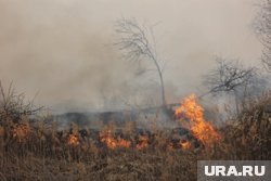 В Ростовской области горит камыш