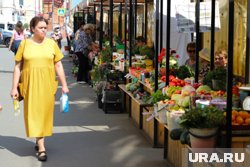 Днем прогнозируется до 26 градусов тепла