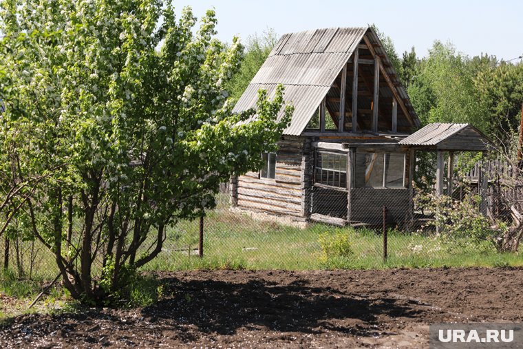 Некоторые россияне могут бесплатно получить земельный участок, заявил депутат Гаврилов