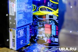 Сургутянка выращивала запрещенное растение внутри системного блока
