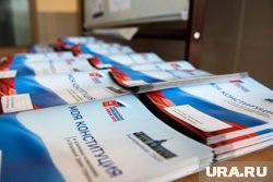 Голосование по внесению поправок в Конституцию РФ
