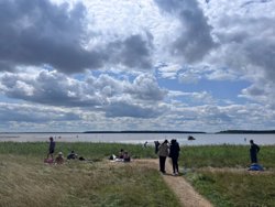 Добраться до лечебного озера Медвежье в Курганской области без авто: опыт журналиста URA.RU
