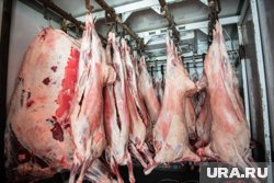 О проблеме жильцы сообщили координатору партии ЛДПР по Тюмени 