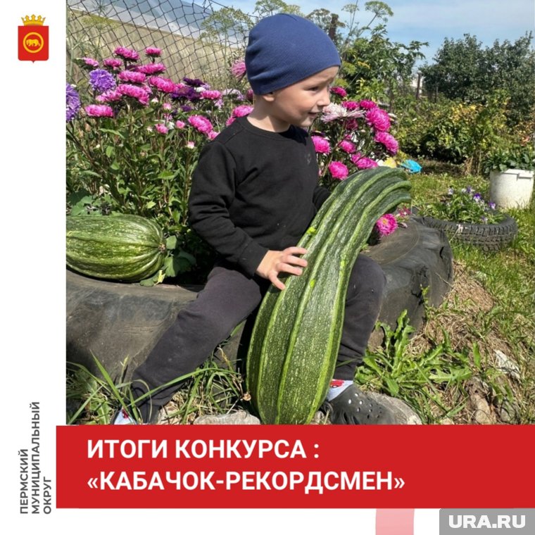 Власти пообещали повторить конкурс в 2026 году
