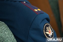 Новый руководитель погружается в дела