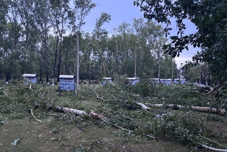 Восстановить электроснабжение в большинстве населенных пунктов региона обещают уже сегодня