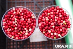 Ягодами уже начали торговать на уличных рынках